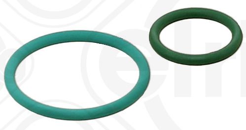 ELRING 455.290 Seal Kit, injector pump