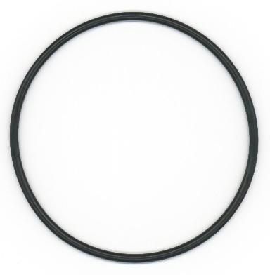 Seal Ring ELRING 493.270