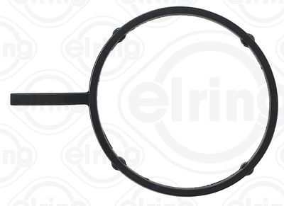Gasket, EGR valve pipe ELRING 496.200