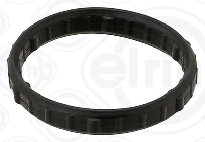 Gasket, timing case ELRING 553.500