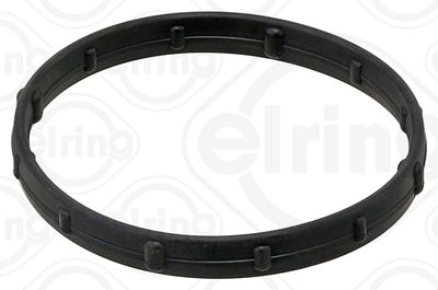 Seal Ring ELRING 619.630
