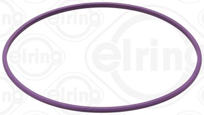 Seal Ring ELRING 653.770
