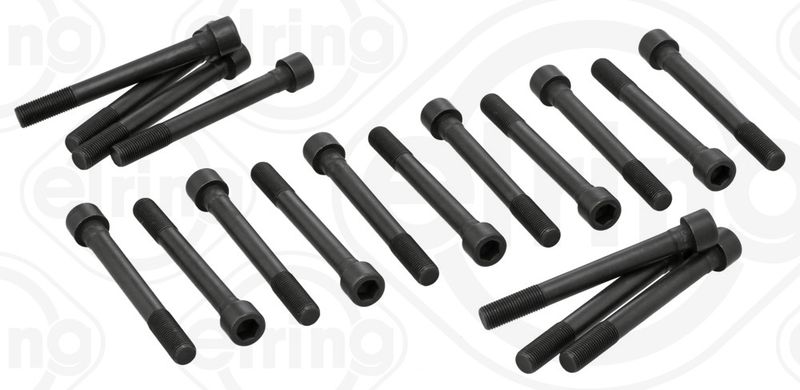 ELRING 709.310 Cylinder Head Bolt Set