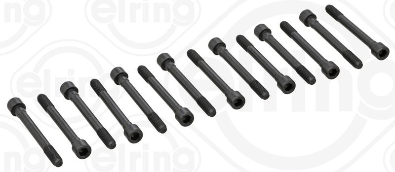ELRING 710.100 Cylinder Head Bolt Set