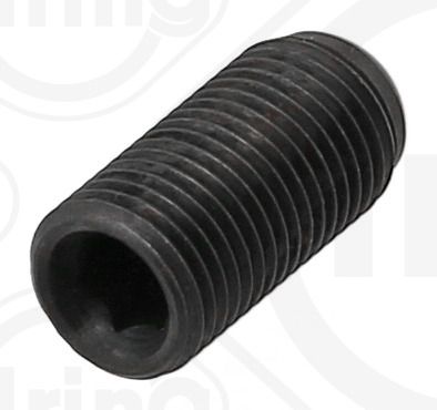 Screw ELRING 736.660