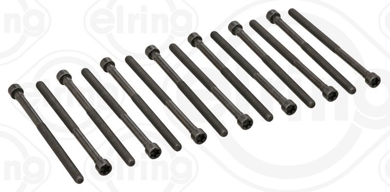 ELRING 794.480 Cylinder Head Bolt Set