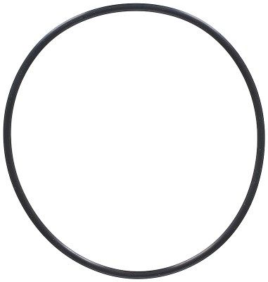 Seal Ring ELRING 794.570