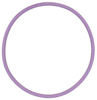 Seal Ring ELRING 813.583