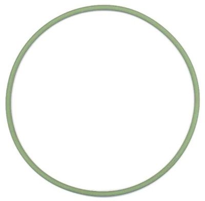 Seal Ring, cylinder liner ELRING 825.751