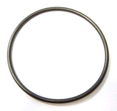 Seal Ring ELRING 893.189