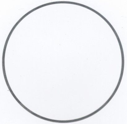 ELRING 896.455 O-Ring, cylinder sleeve