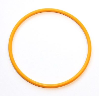 Seal Ring ELRING 919.241