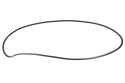 Gasket, cylinder head cover ENGITECH ENT010672