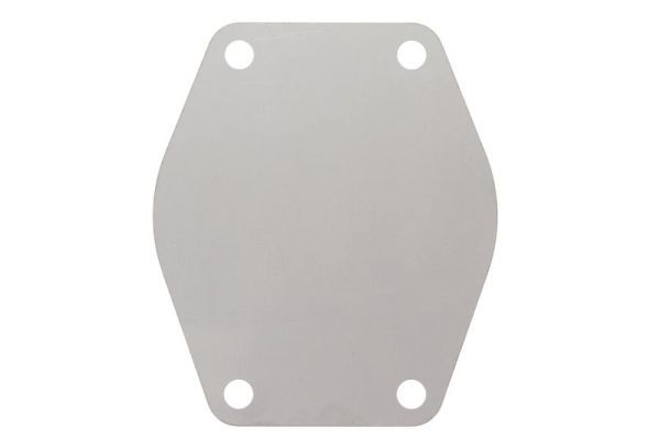 ENGITECH ENT010698 Gasket, water pump