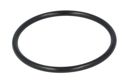 Seal Ring, cylinder liner ENGITECH ENT030164