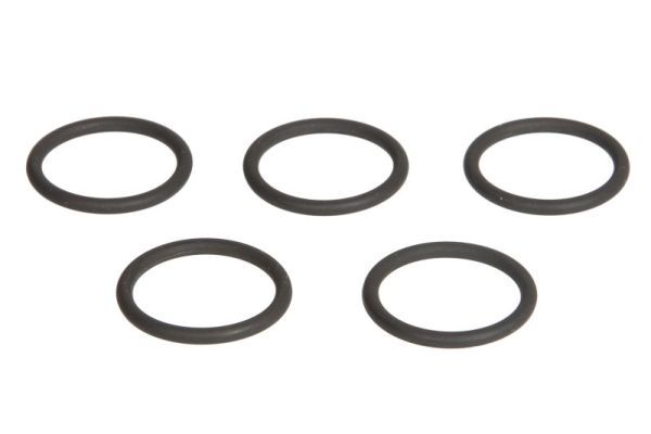 ENGITECH ENT250244 Seal Ring, injector