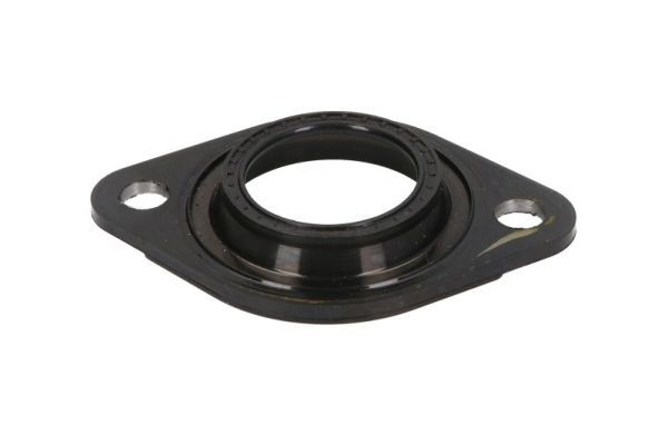 ENGITECH ENT250389 Seal Ring, injector