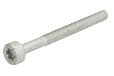 Screw, injection nozzle holder ENGITECH ENT250578