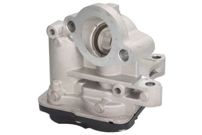 EGR Valve ENGITECH ENT500165