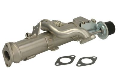 EGR Module ENGITECH ENT520036