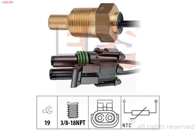 Sensor, coolant temperature EPS 1.830.307