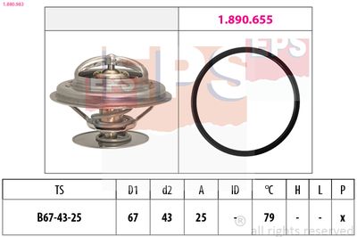 Thermostat, coolant EPS 1.880.983