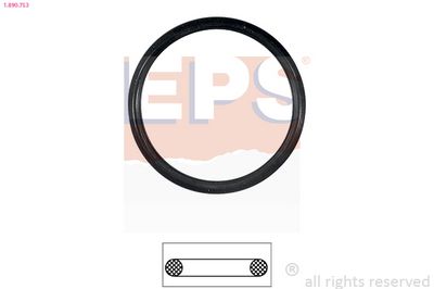 Seal, thermostat EPS 1.890.753