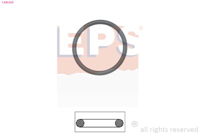 Seal, thermostat EPS 1.890.629