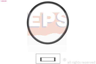 Seal, thermostat EPS 1.890.649