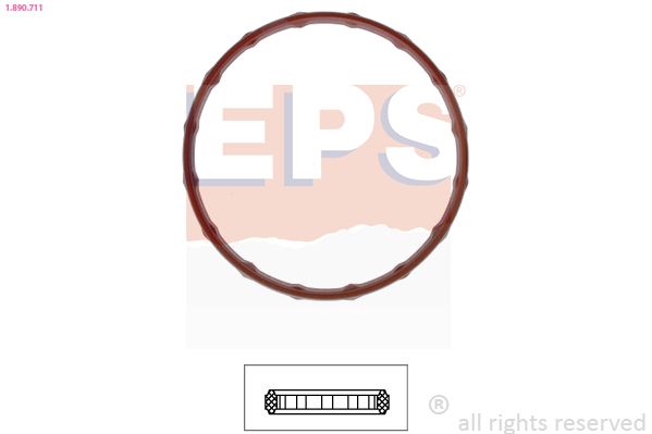EPS 1.890.711 Seal, thermostat