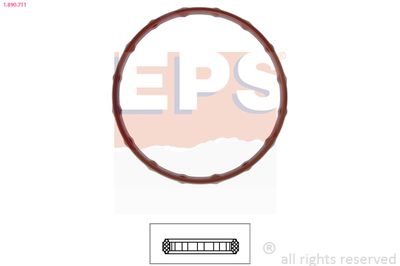 Seal, thermostat EPS 1.890.711