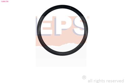 Seal, thermostat EPS 1.890.736