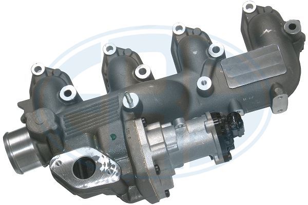 ERA 555306 EGR Valve