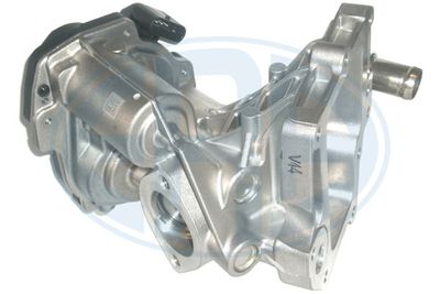 EGR Valve ERA 555316