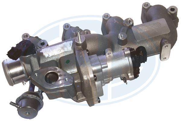 ERA 555317 EGR Valve