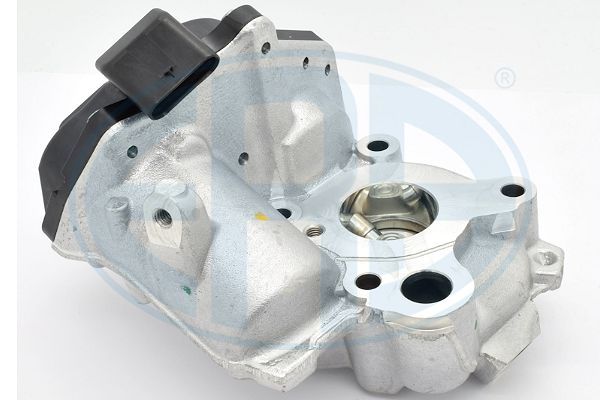 ERA 555409 EGR Valve