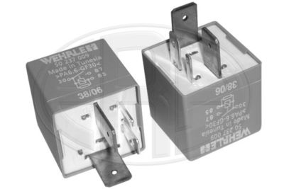 Control Unit, glow time ERA 661131