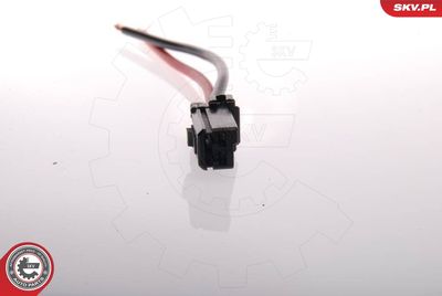 Fuel Pump ESEN SKV 02SKV205