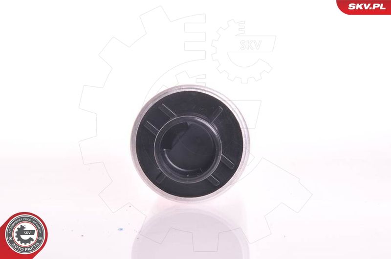ESEN SKV 02SKV210 Fuel Pump