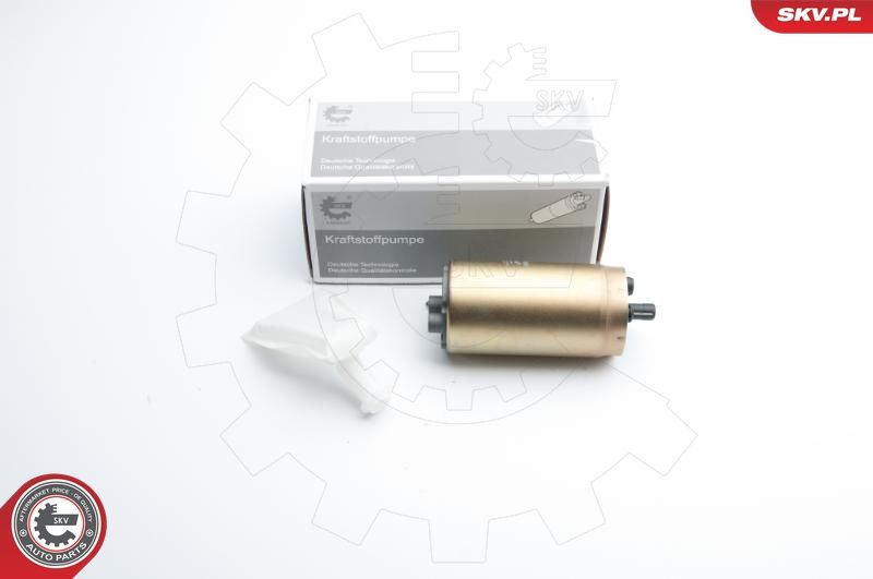 ESEN SKV 02SKV236 Fuel Pump