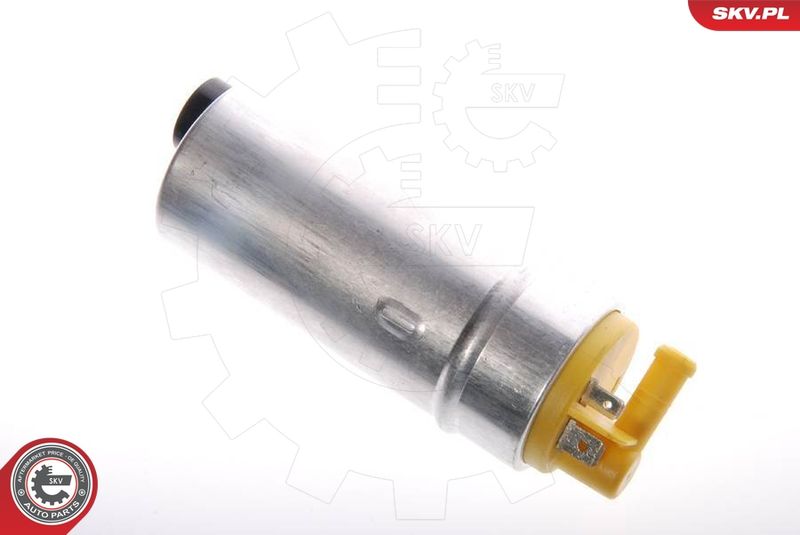 ESEN SKV 02SKV243 Fuel Pump
