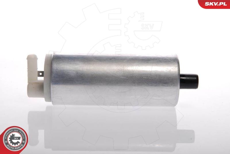 ESEN SKV 02SKV273 Fuel Pump