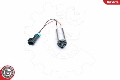 Fuel Pump ESEN SKV 02SKV306