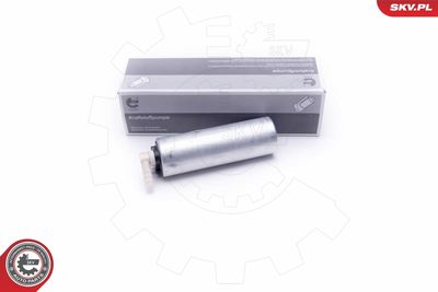Fuel Feed Unit ESEN SKV 02SKV312