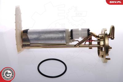 Fuel Feed Unit ESEN SKV 02SKV706