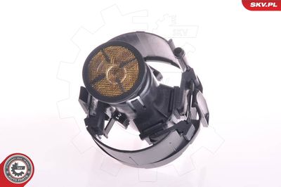 Fuel Feed Unit ESEN SKV 02SKV707