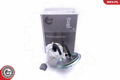 Fuel Feed Unit ESEN SKV 02SKV713