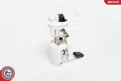 Fuel Feed Unit ESEN SKV 02SKV717