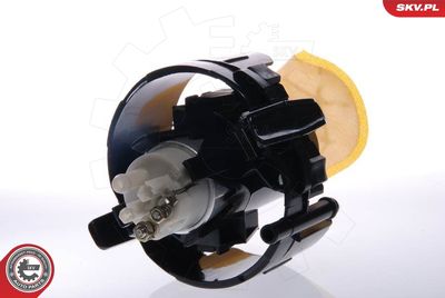 Fuel Feed Unit ESEN SKV 02SKV726
