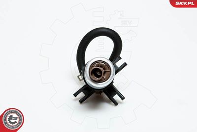 Fuel Feed Unit ESEN SKV 02SKV729